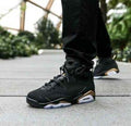 n_kee jordan retro 6 DMP