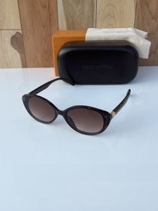 Louis_vuitton_2877_brown